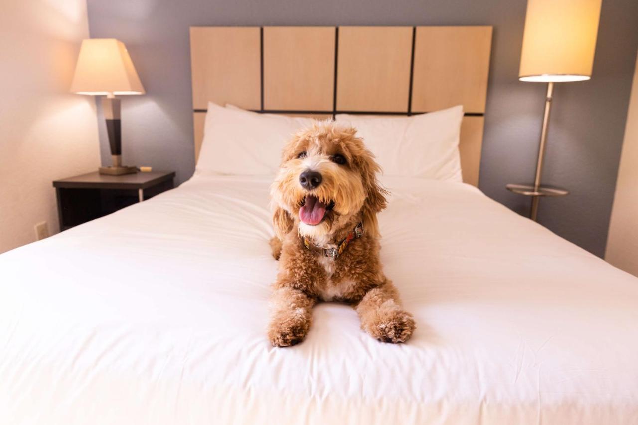 Sonesta Simply Suites Chicago Waukegan Luaran gambar